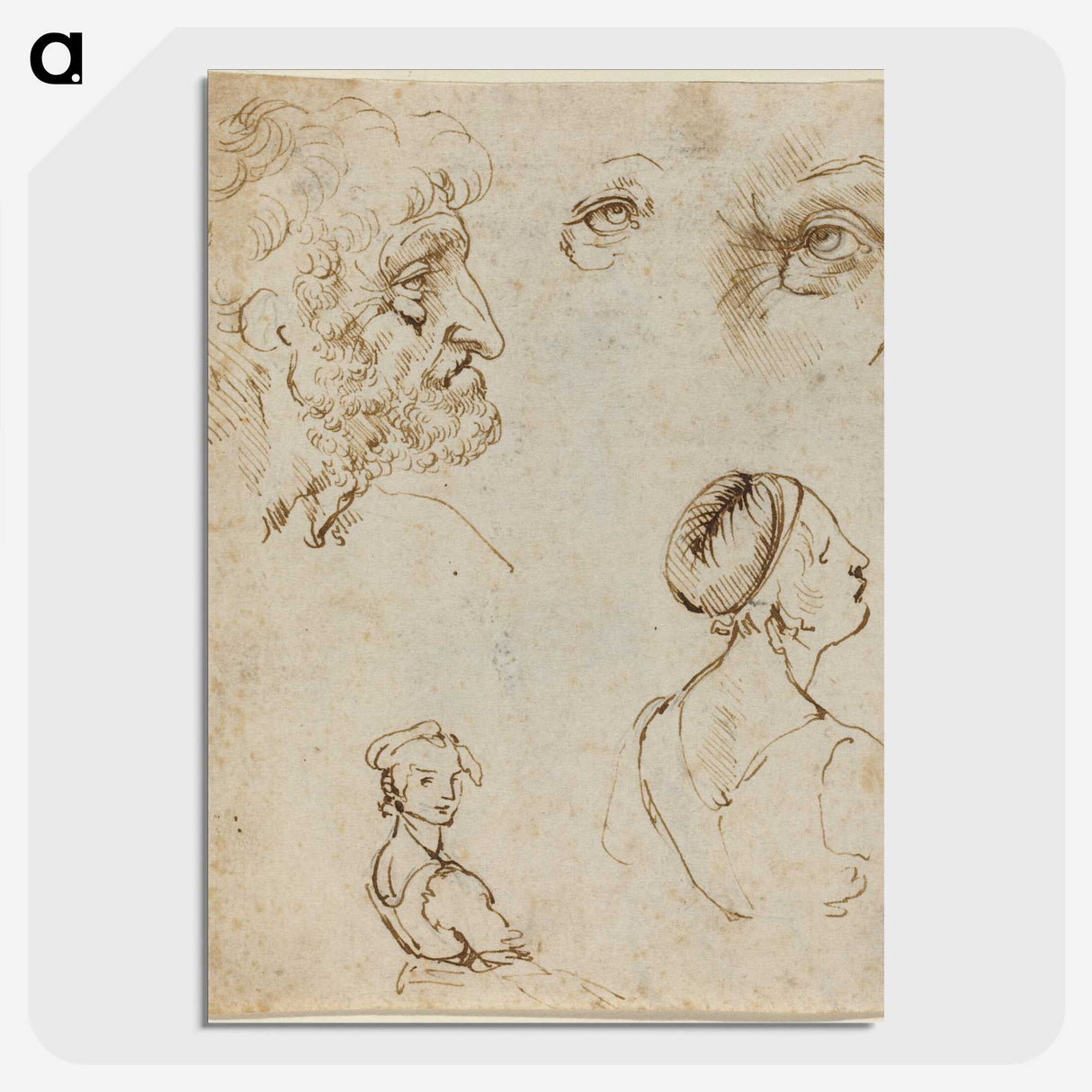 1-44_Leonardo-Da-Vinci_picture-crop