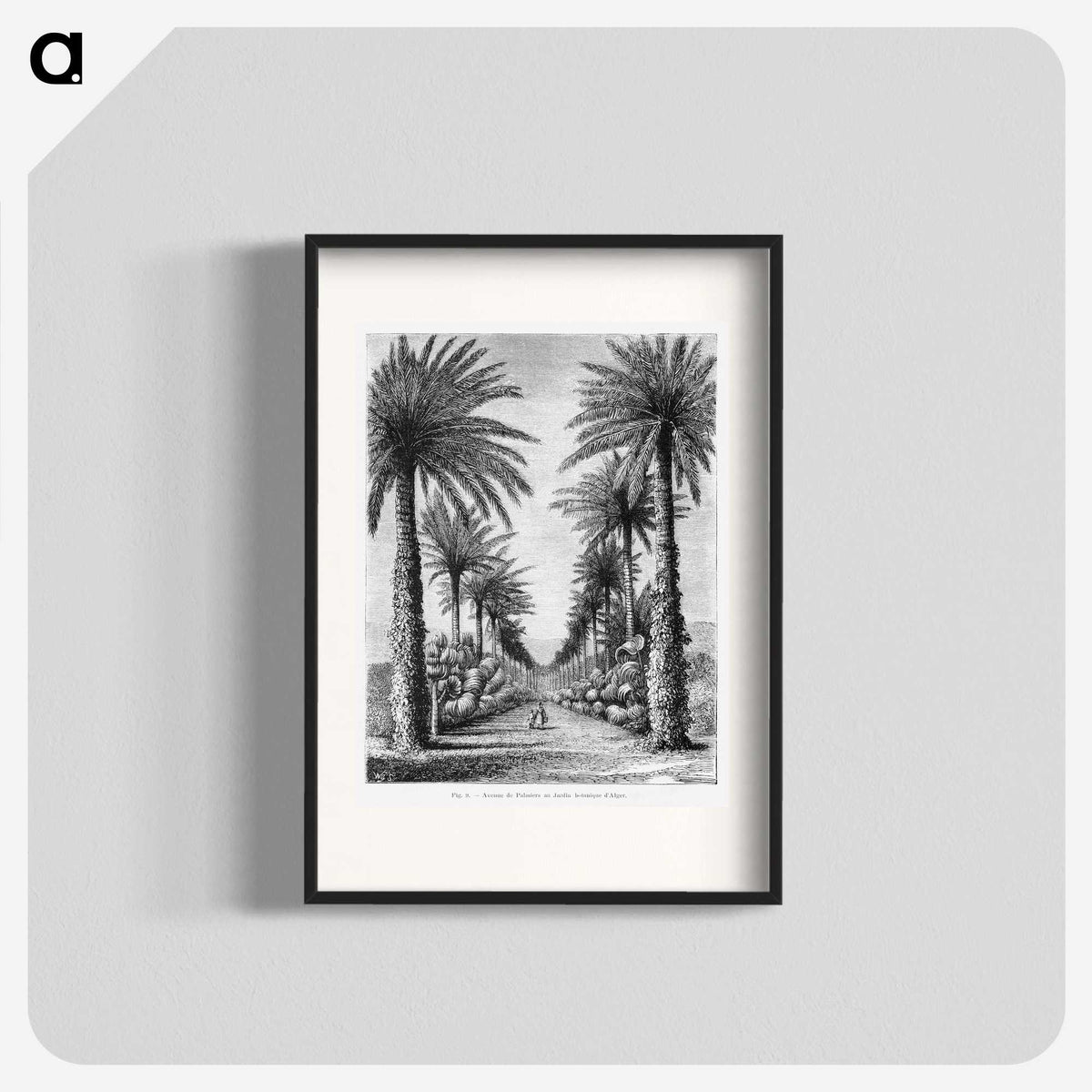 1-44_Les-Palmiers-Histoire-Iconographique_blk