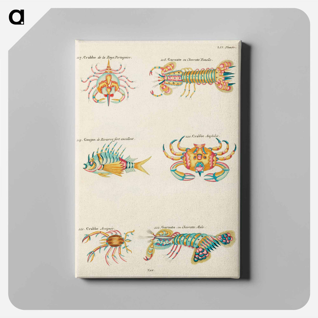 アートパネル-Moluccan Crustaceans
- ルイ ルナール Canvas.