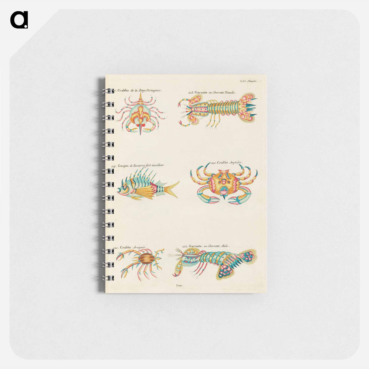 Moluccan Crustaceans
- ルイ ルナール Memo.