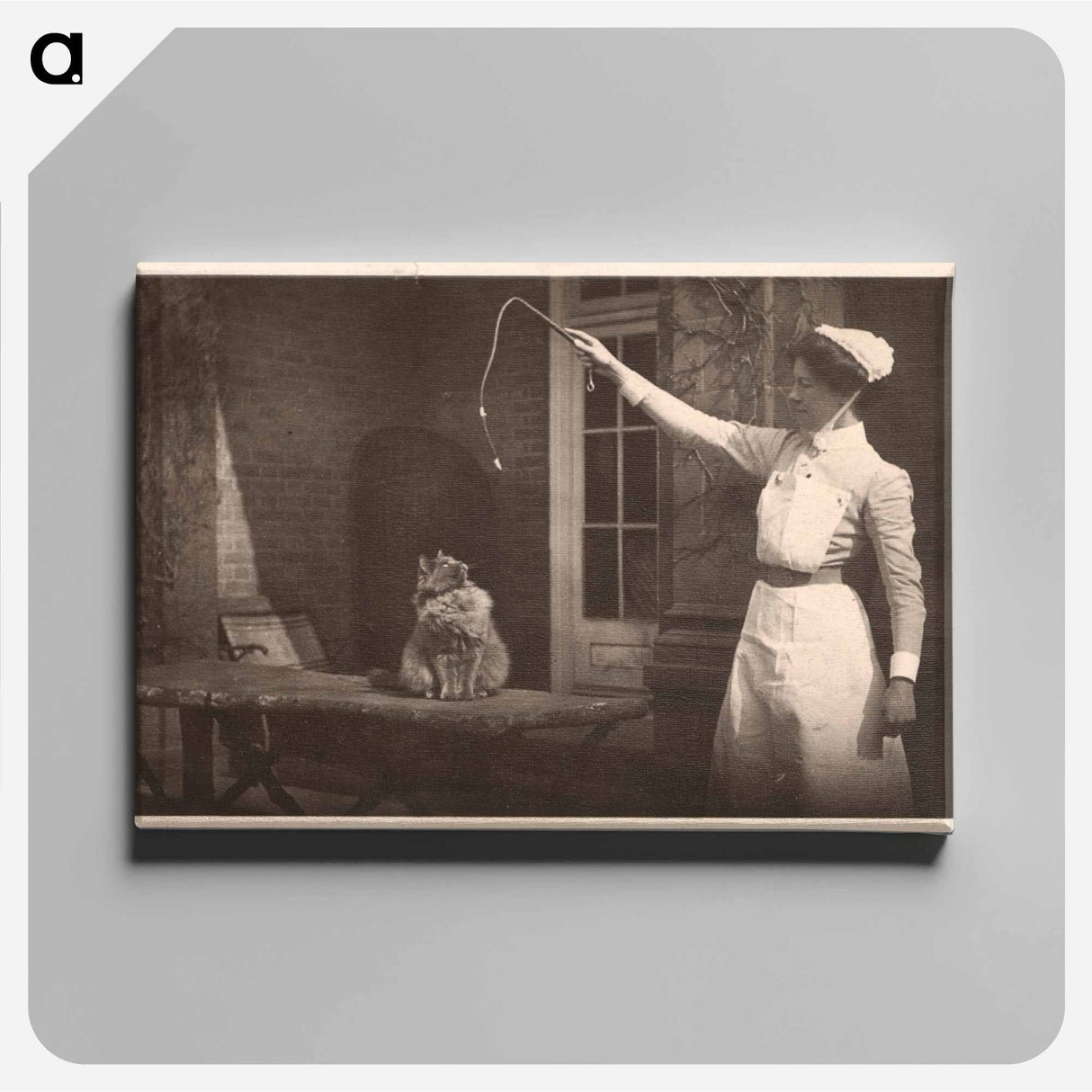 アートパネル-Nurse and Cat, Images from the History of Medicine
- 国立医学図書館 Canvas.