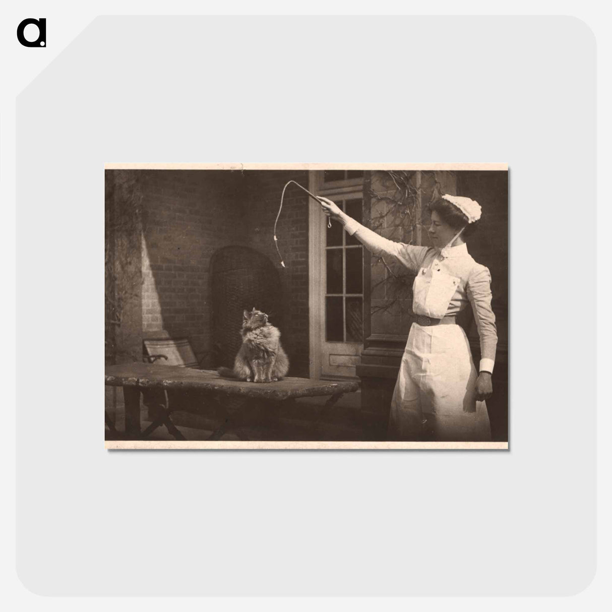 アートポストカード-Nurse and Cat, Images from the History of Medicine
- 国立医学図書館 Postcard.