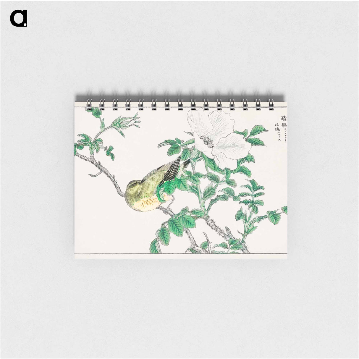 アートメモ帳-Brown-eared Bulbul and Rosa Rugosa
- 鳥類図鑑 Memo.