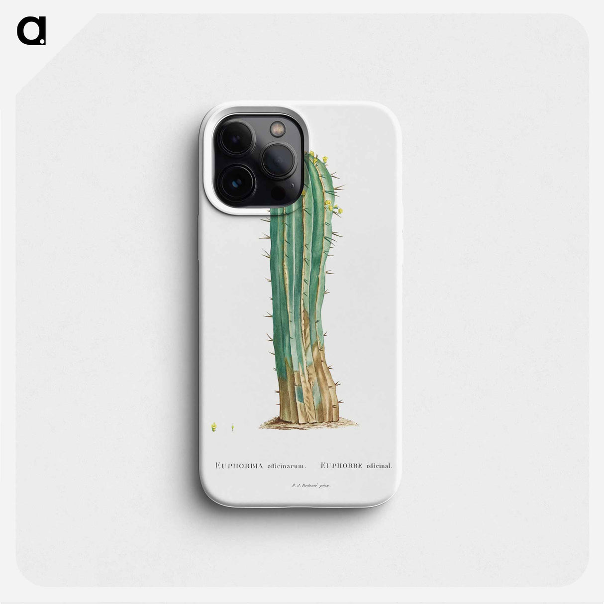 Euphorbia Officinarum - ピエール ジョゼフ ルドゥーテ Phone Case.