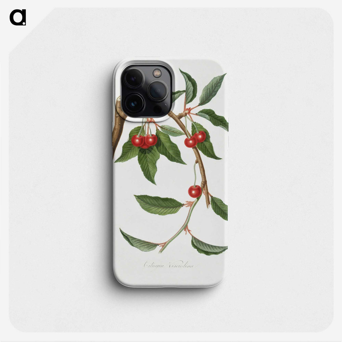 1-44_Pomona-Italiana_phone