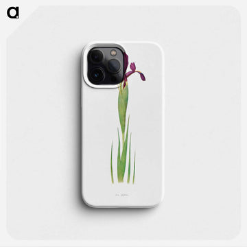 Iris Filifolia from The genus Iris
 - アヤメ属 Phone Case.