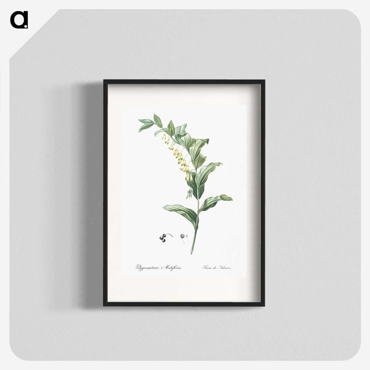 1-44_The-Lilies_blk
