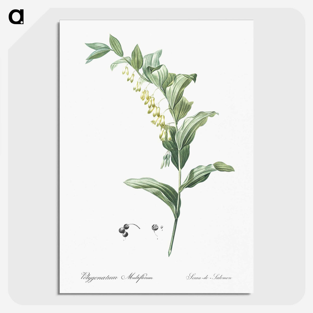 1-44_The-Lilies_picture-crop