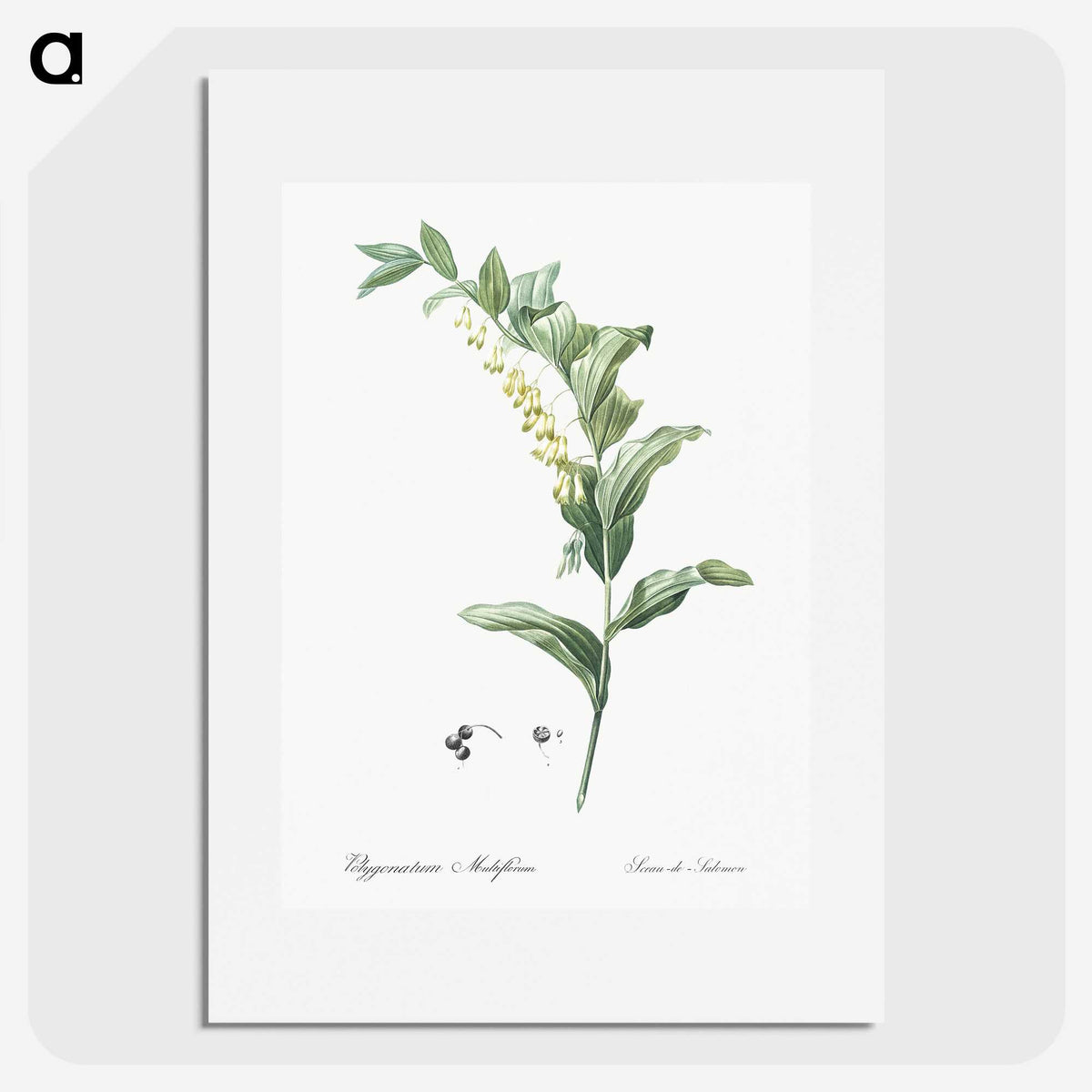 1-44_The-Lilies_picture