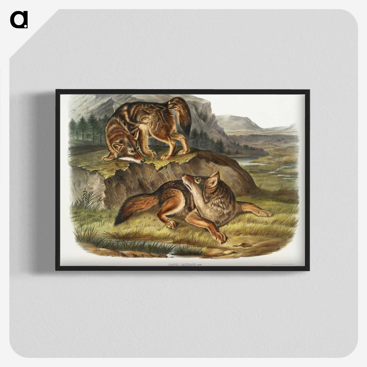 1-44_The-Viviparous-Quadrupeds_blk-crop