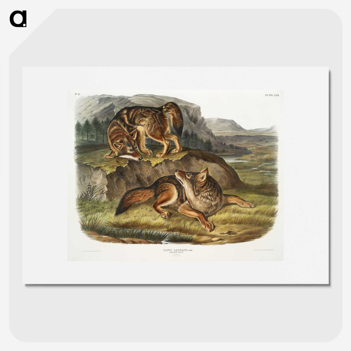 1-44_The-Viviparous-Quadrupeds_picture