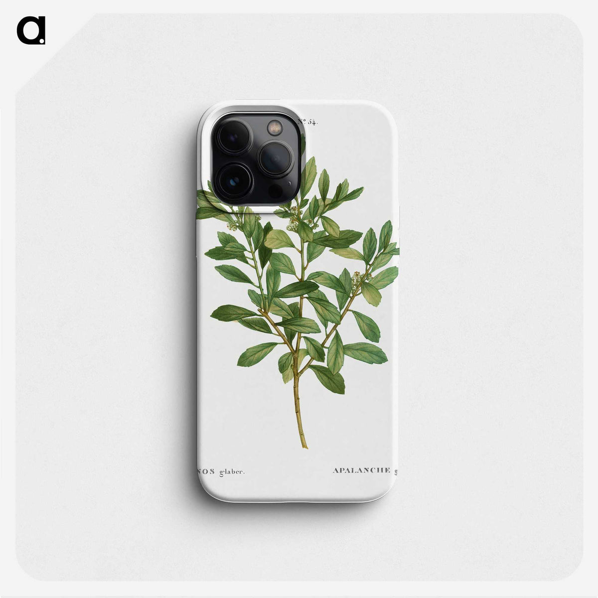 1-44_Treatise-on-Trees-and-Shrubs_phone