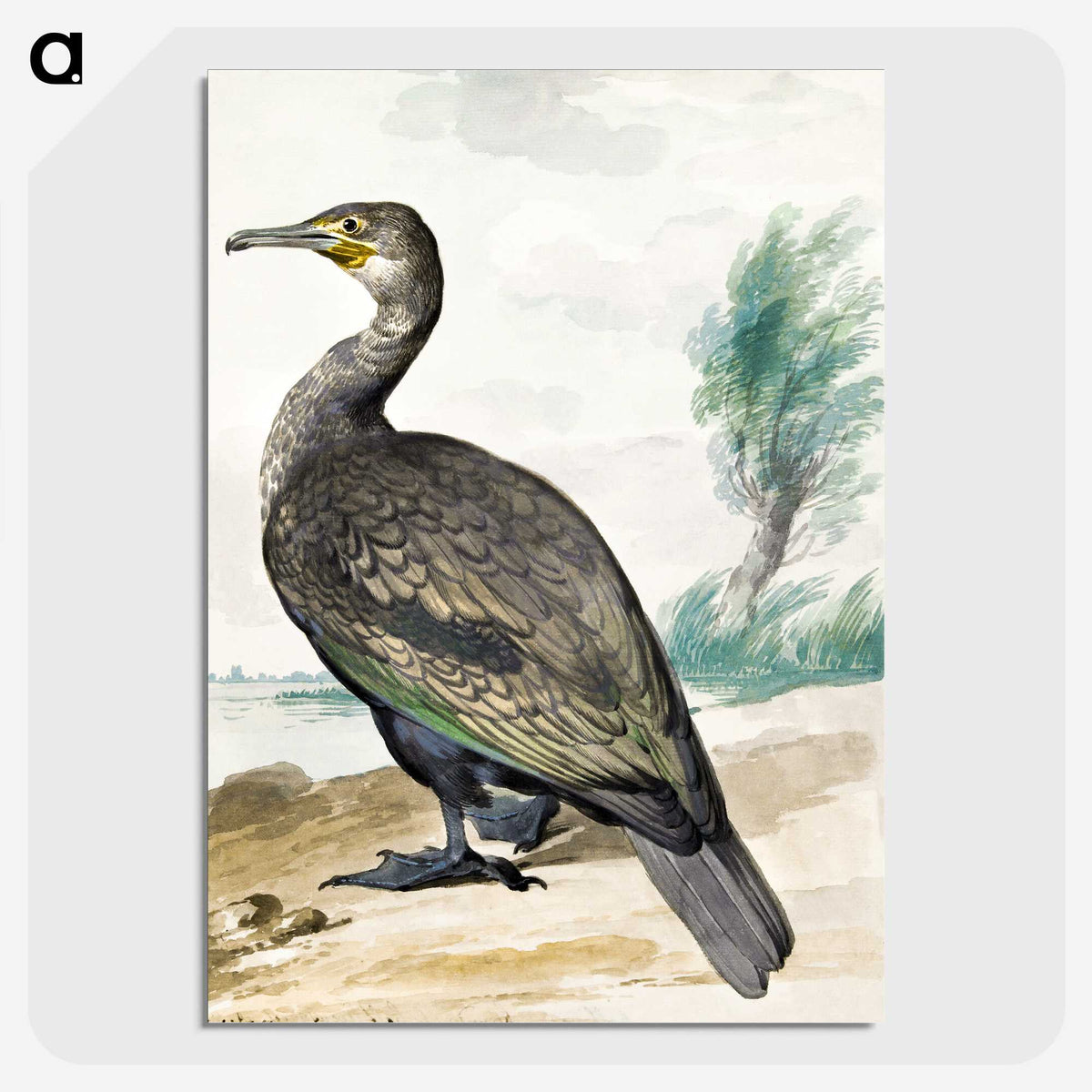 1-45_Aert-Schouman_picture-crop