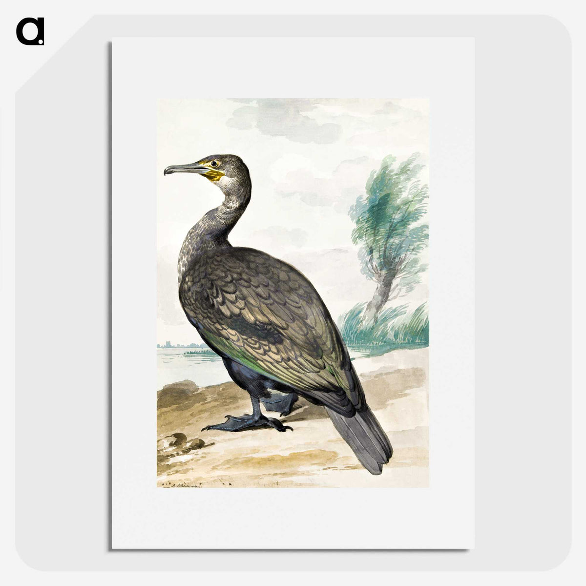 1-45_Aert-Schouman_picture