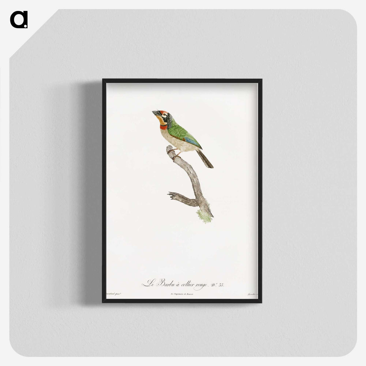 1-45_Des-Oiseaux-de-Paradis_blk-crop
