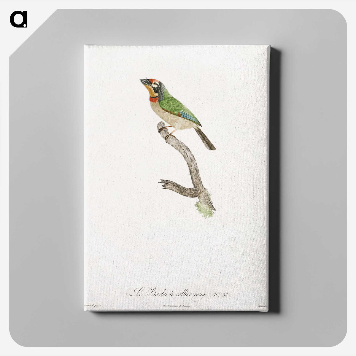 1-45_Des-Oiseaux-de-Paradis_canvas