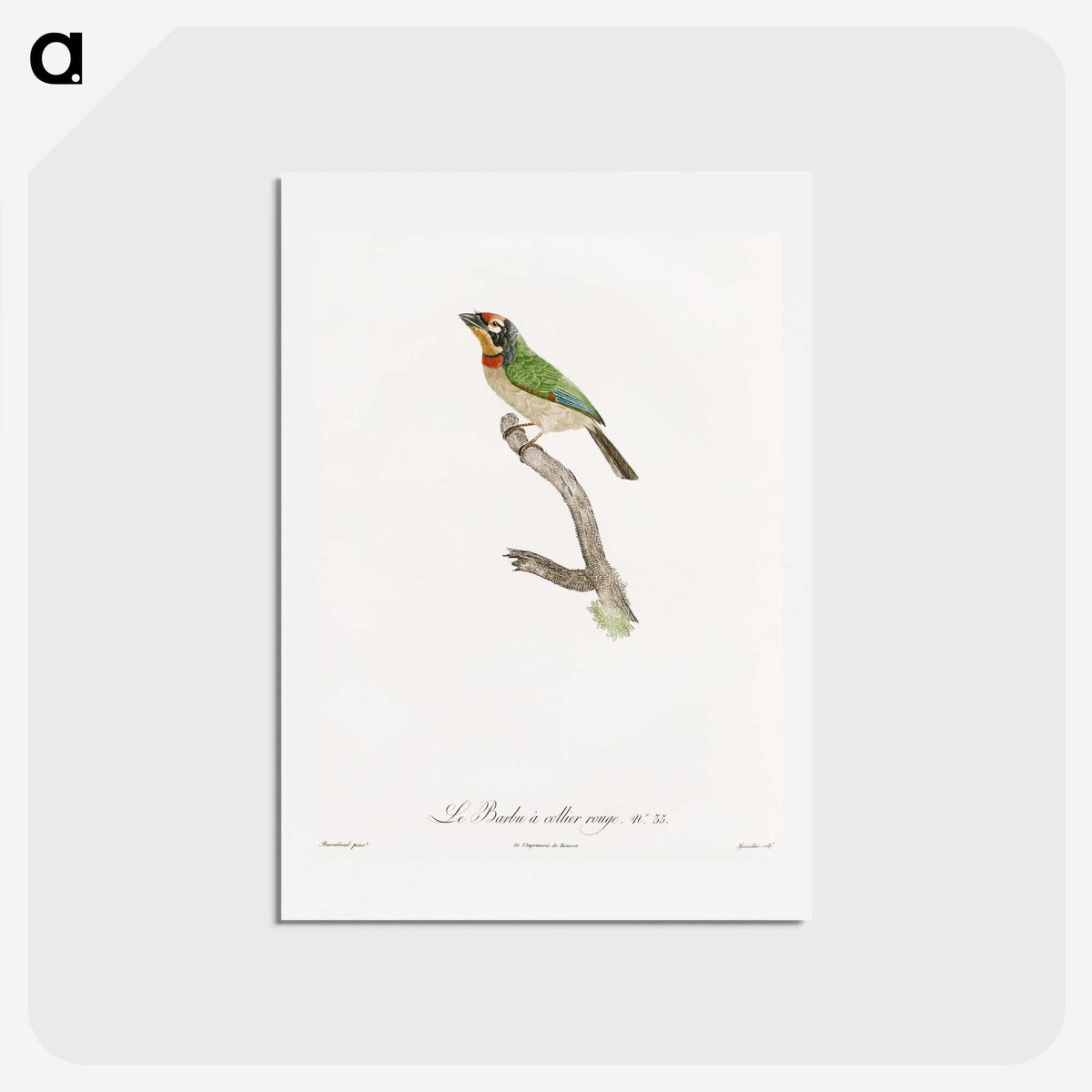 1-45_Des-Oiseaux-de-Paradis_hagaki
