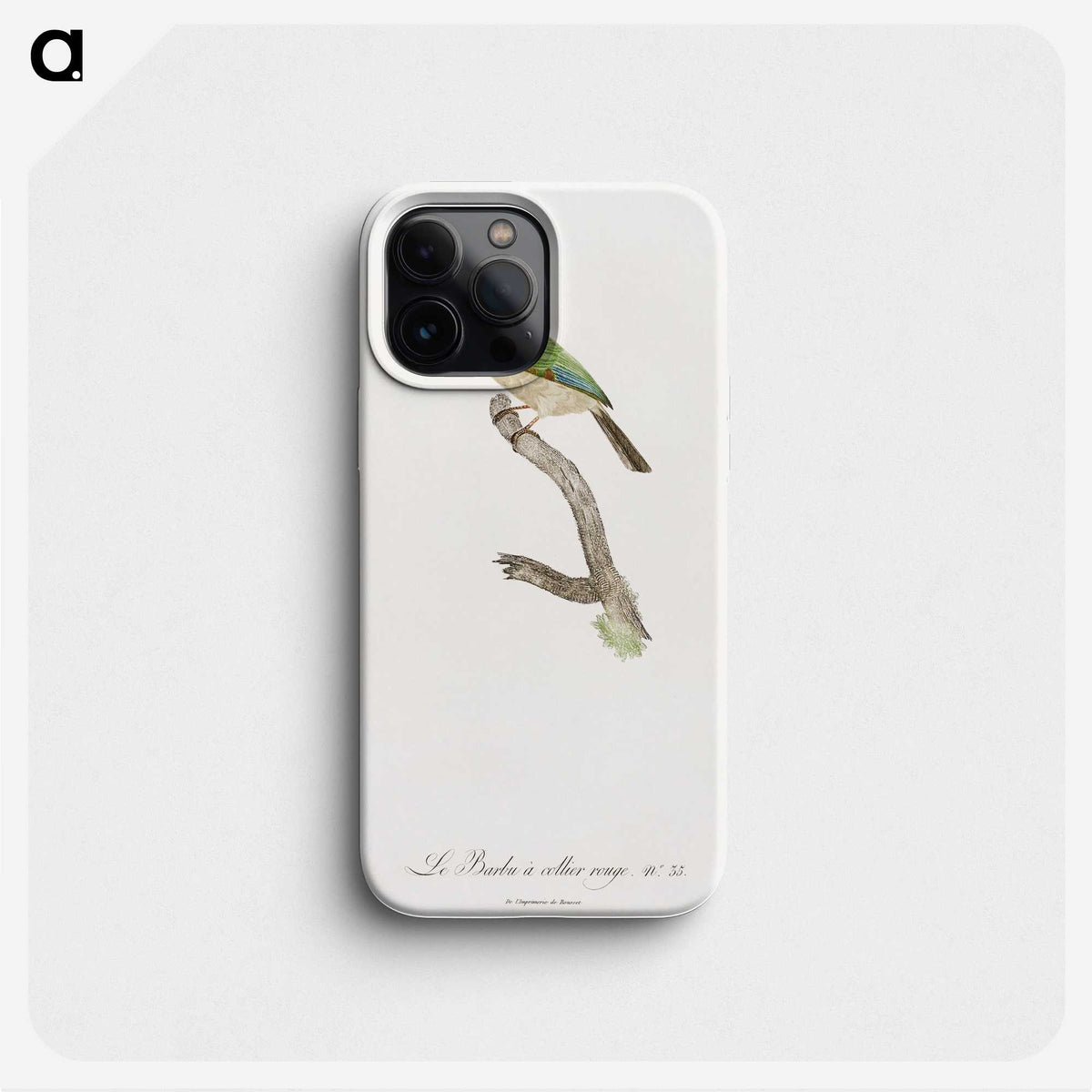 1-45_Des-Oiseaux-de-Paradis_phone