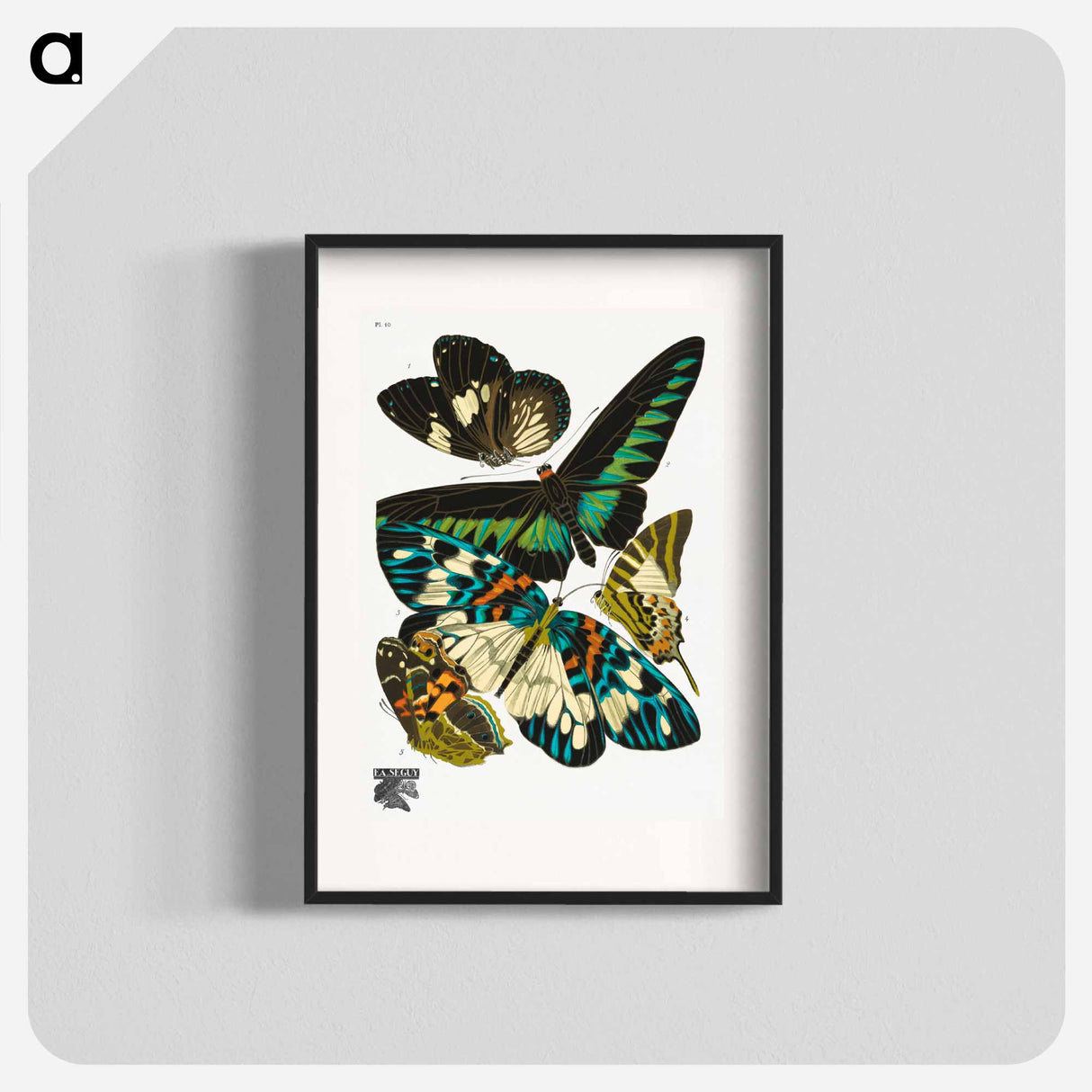 E.A. Séguy's vintage butterflies - E.A.セギー Poster.