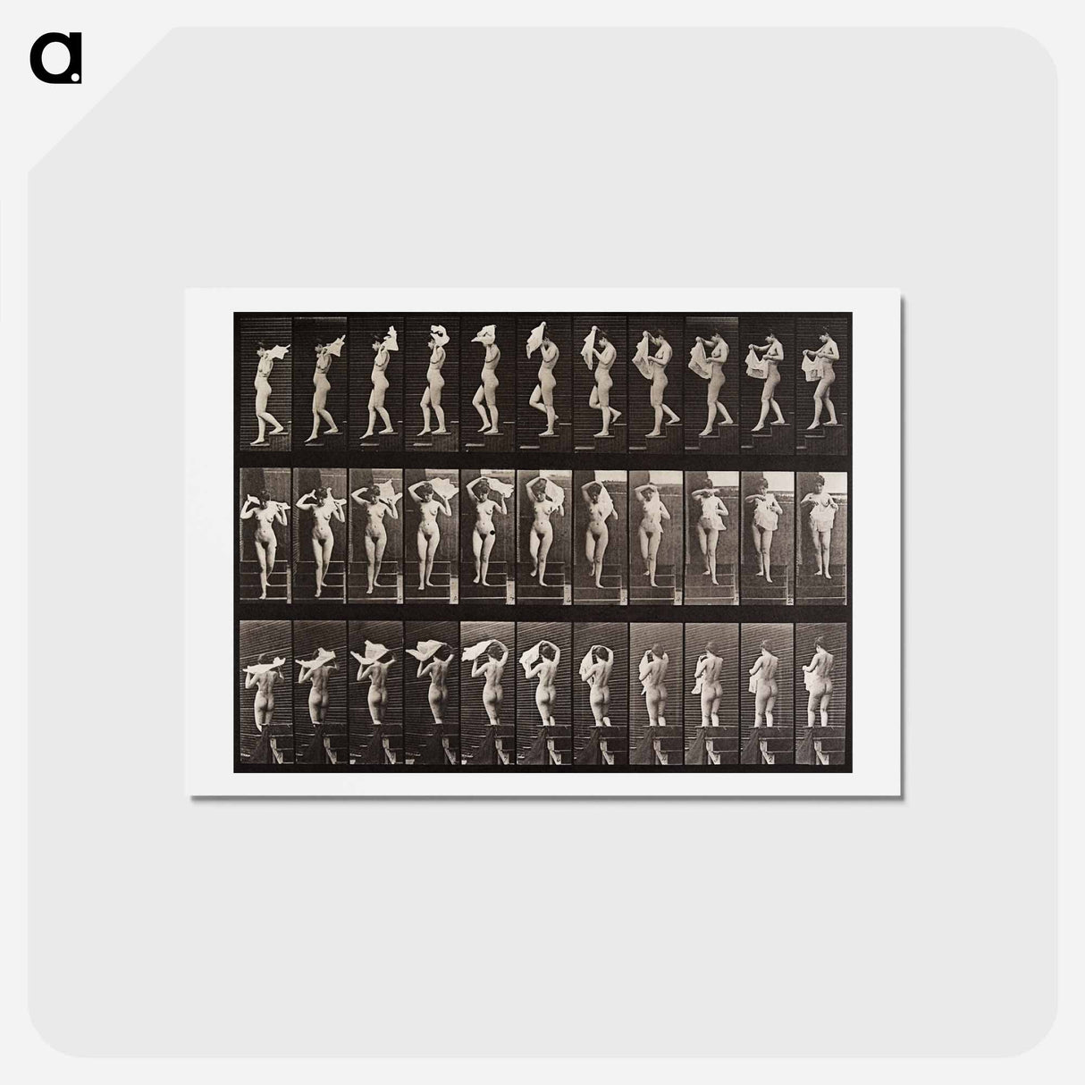 アートポストカード-Woman Locomotion Plate 133
- エドワード マイブリッジ Postcard.