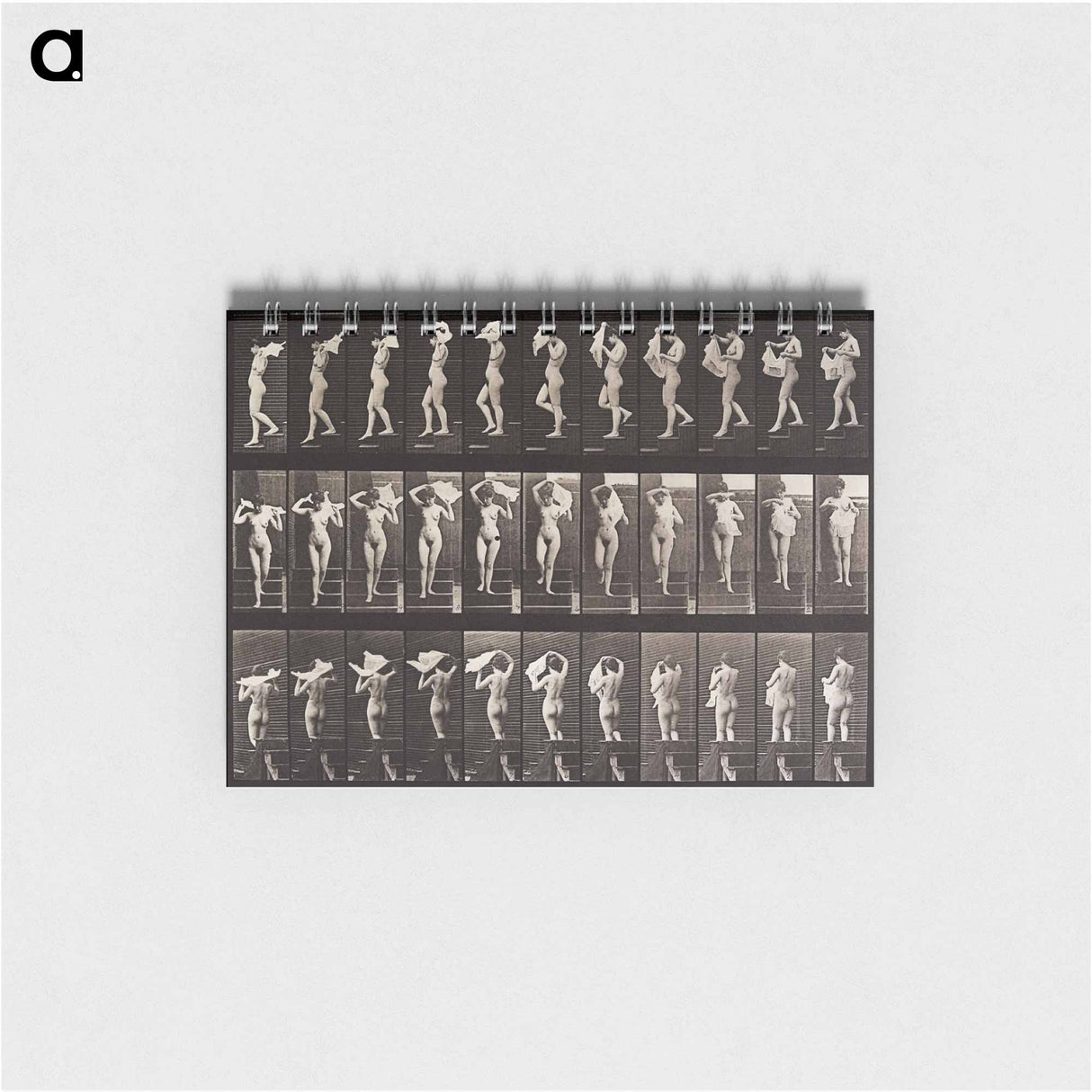 アートメモ帳-Woman Locomotion Plate 133
- エドワード マイブリッジ Memo.