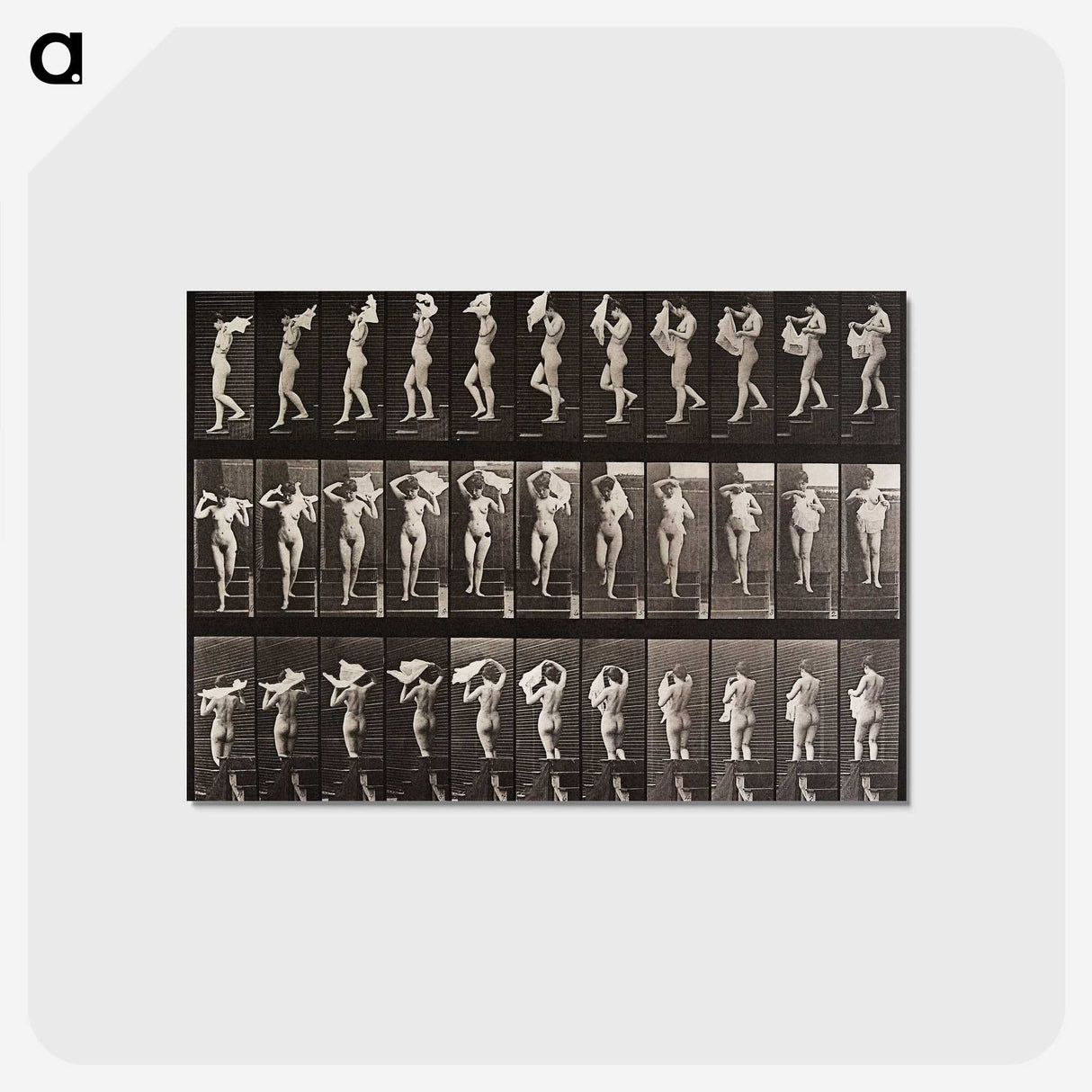1-45_Eadweard-Muybridge_postcard
