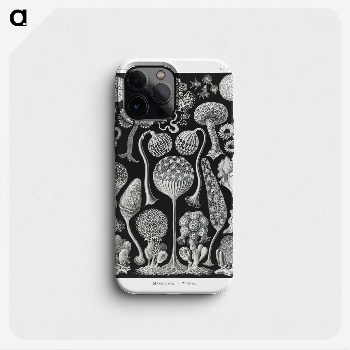 1-45_Ernst-Haeckel_phone