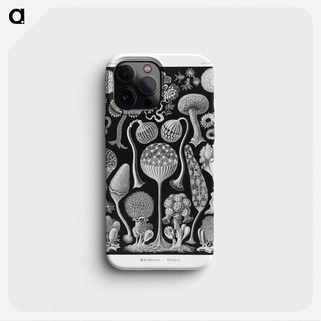 Mycetozoa–Pilztiere - エルンスト ヘッケル Phone Case.