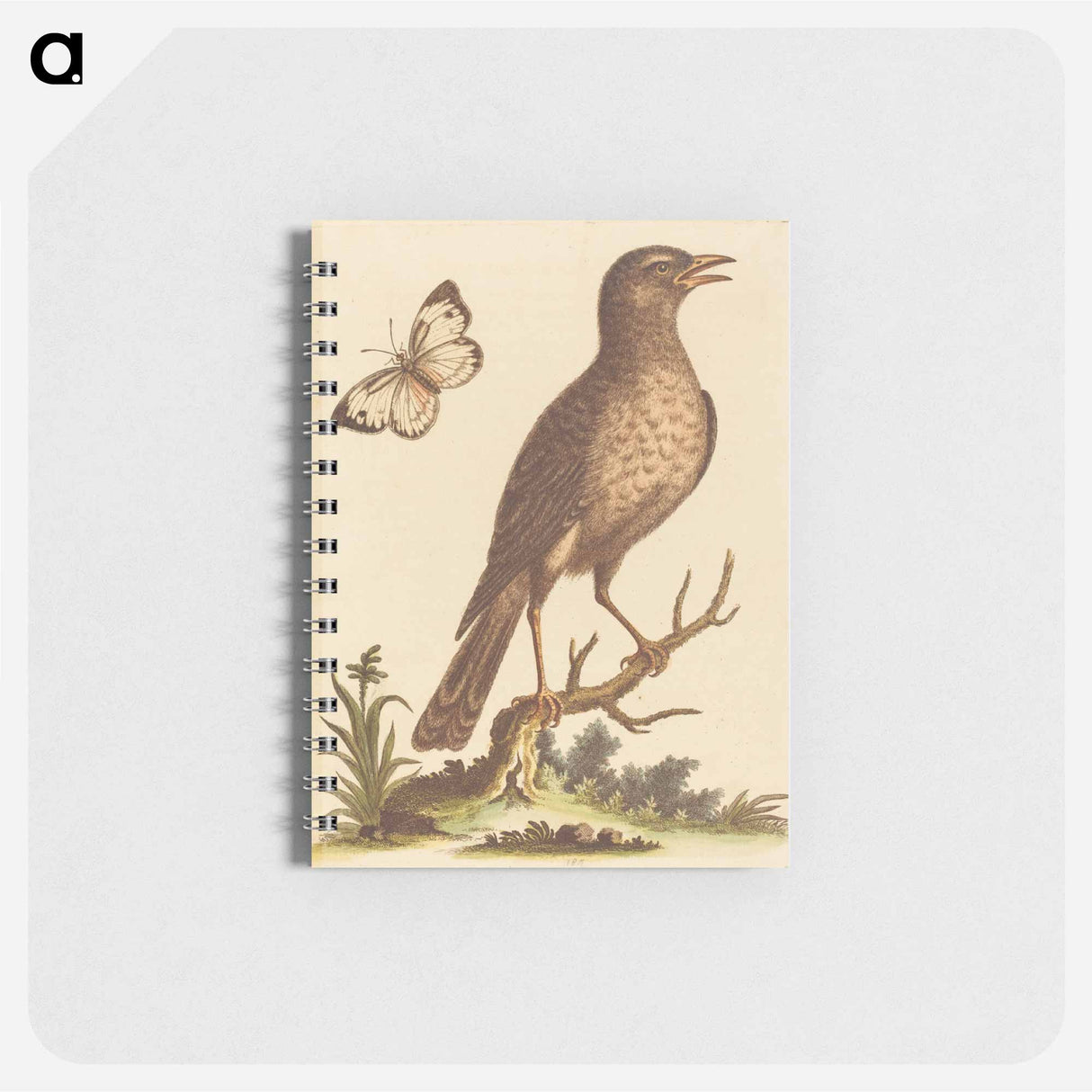 アートメモ帳-Brown Bird with a Butterfly
- ジョージ エドワーズ Memo.