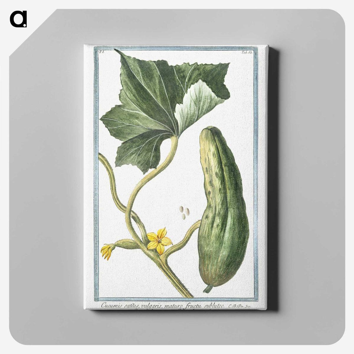 1-45_Hortus-Romanus-Botanical-Plates_canvas