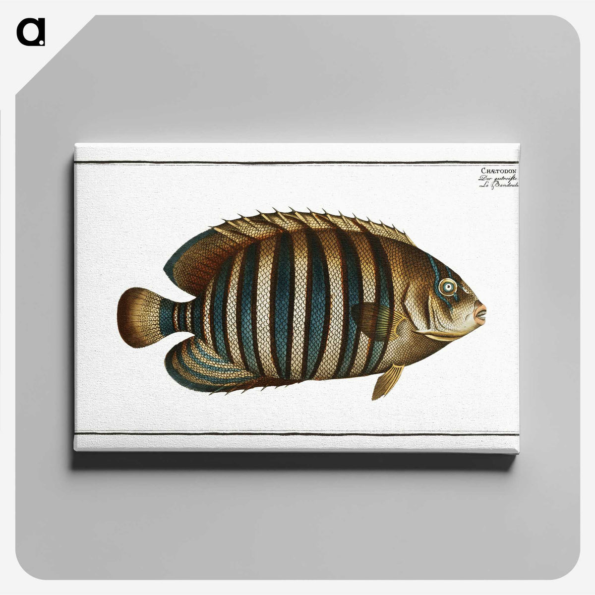 1-45_Ichtyologie-ou-Histoire-naturelle_canvas