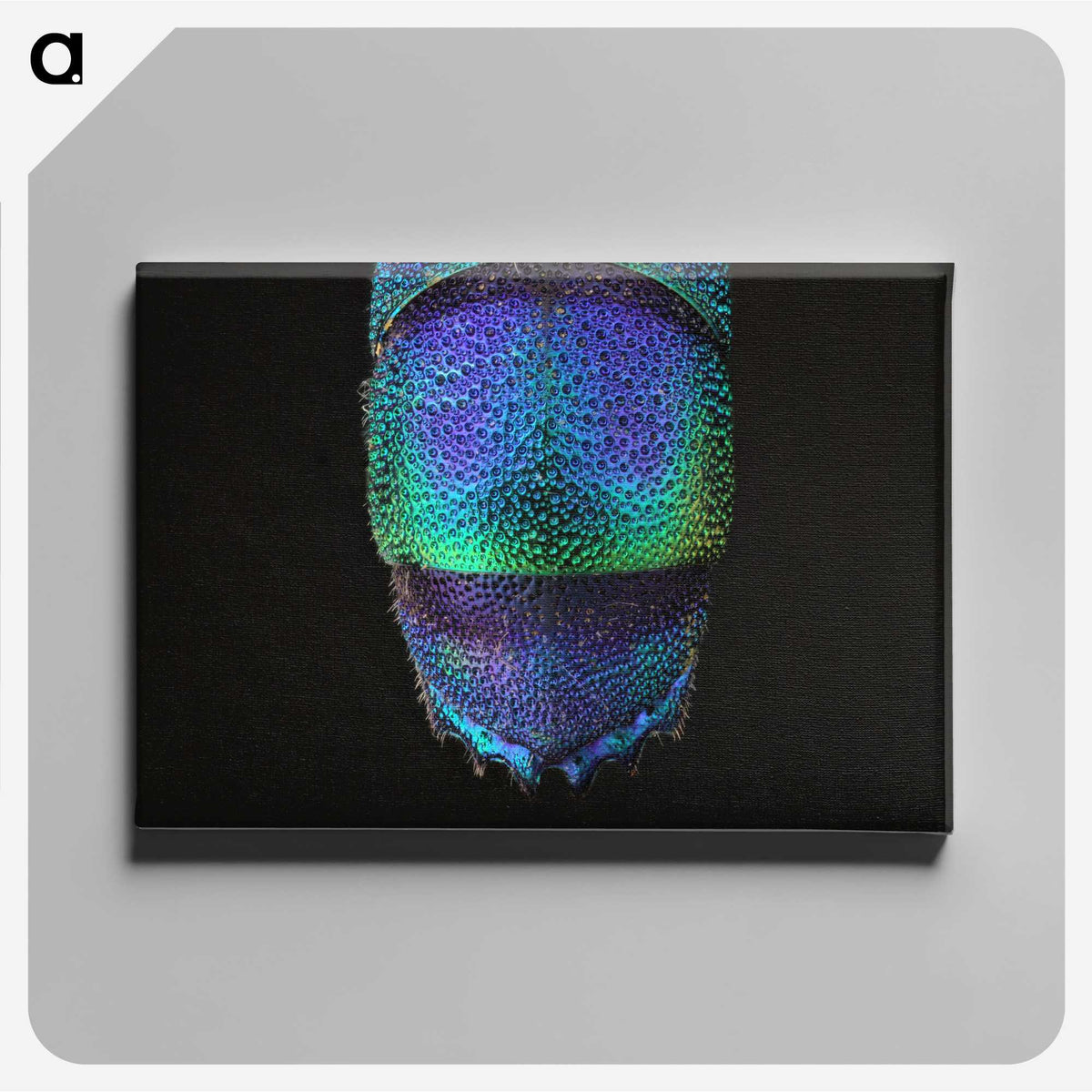 1-45_Insects-Unlocked-Project_canvas