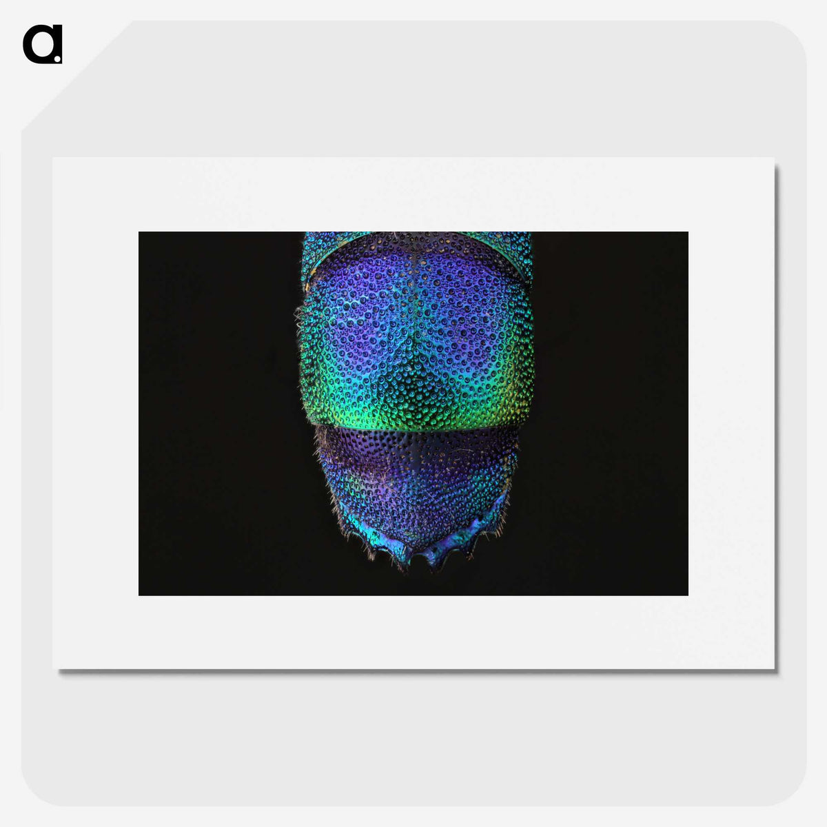 1-45_Insects-Unlocked-Project_picture