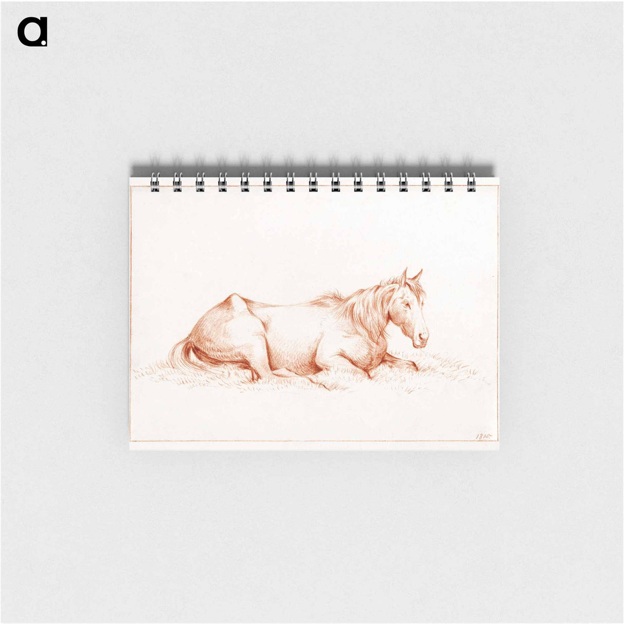 Horse lying in the grass - ジャン ベルナール Memo.