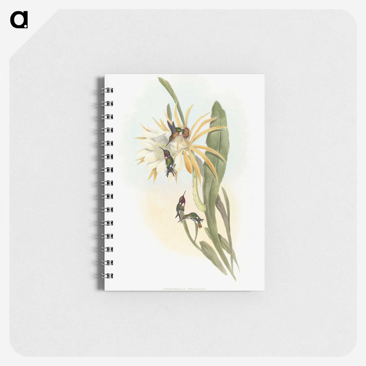 1-45_John-Gould_memo