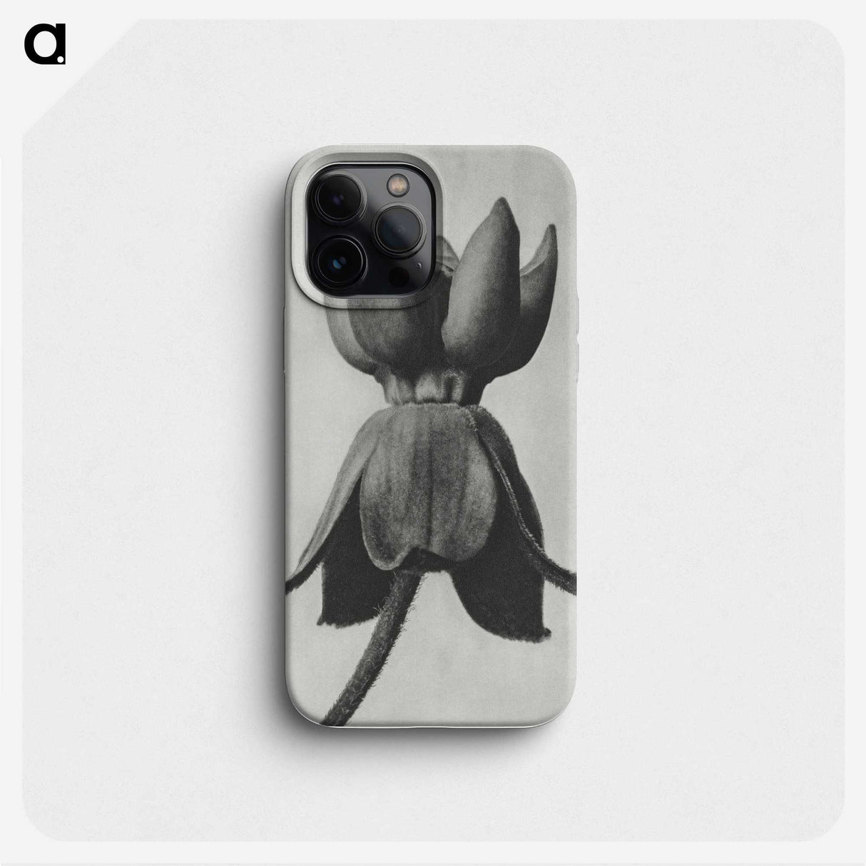 1-45_Karl-Blossfeldt_phone