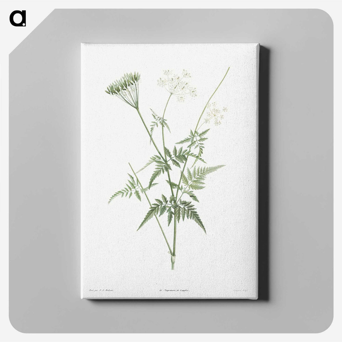 1-45_La-Botanique_canvas