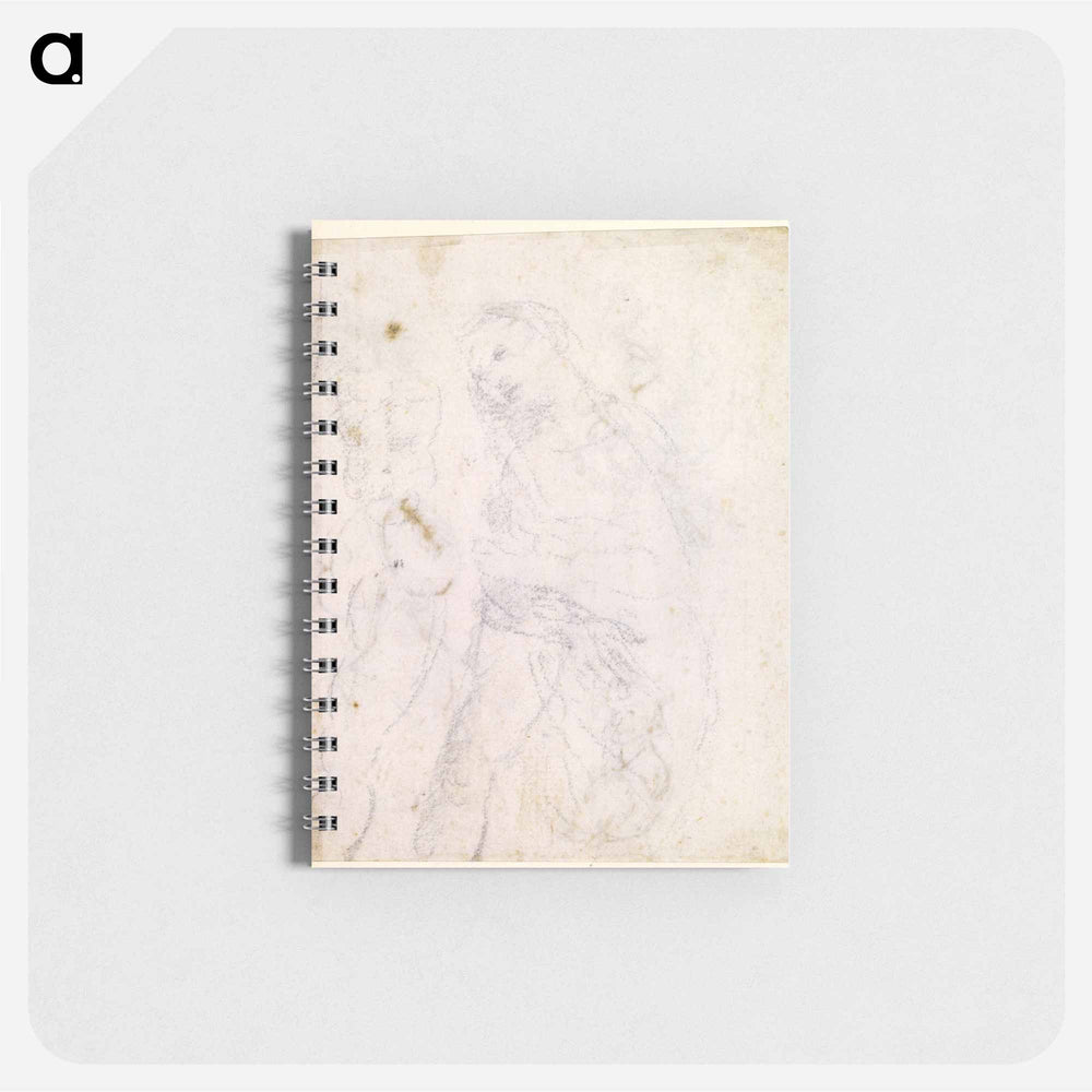 Leonardo da Vinci's Study of a Madonna - レオナルド ダ ヴィンチ Memo.