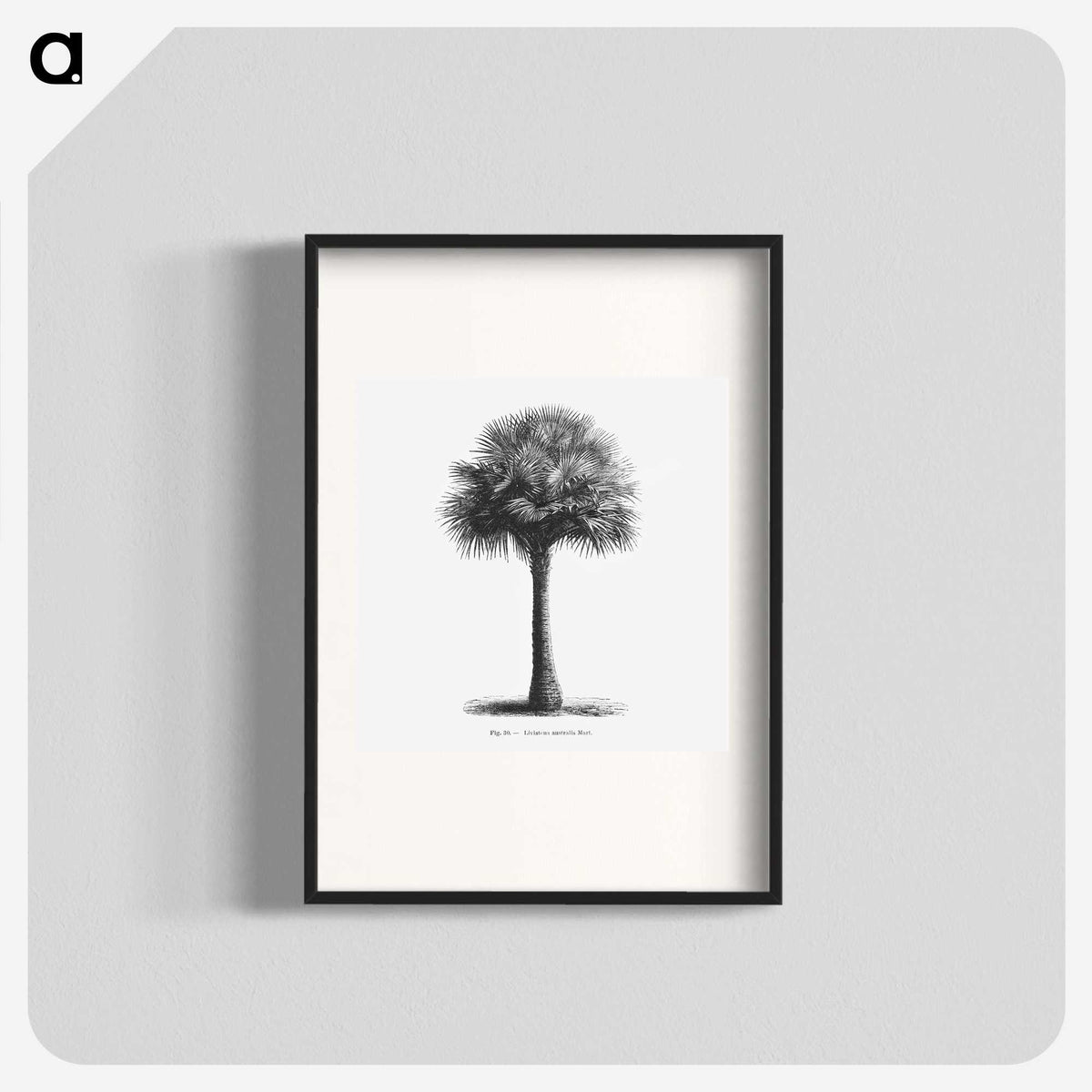 1-45_Les-Palmiers-Histoire-Iconographique_blk