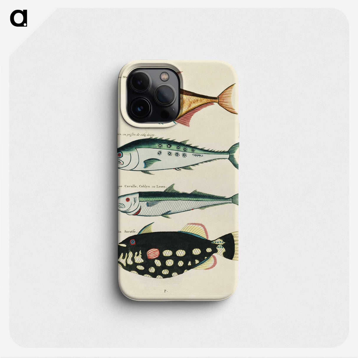 1-45_Louis-Renard_phone