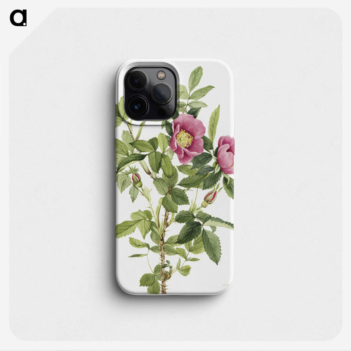 1-45_Mary-Vaux-Walcott_phone
