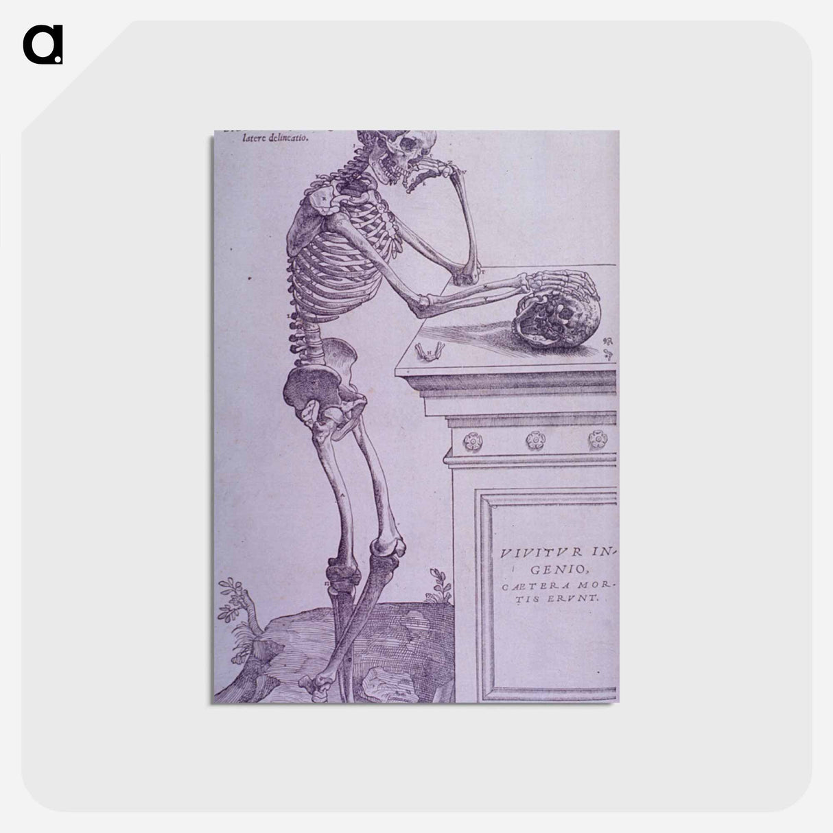 アートポストカード-Bone Plate Depiction
- 国立医学図書館 Postcard.