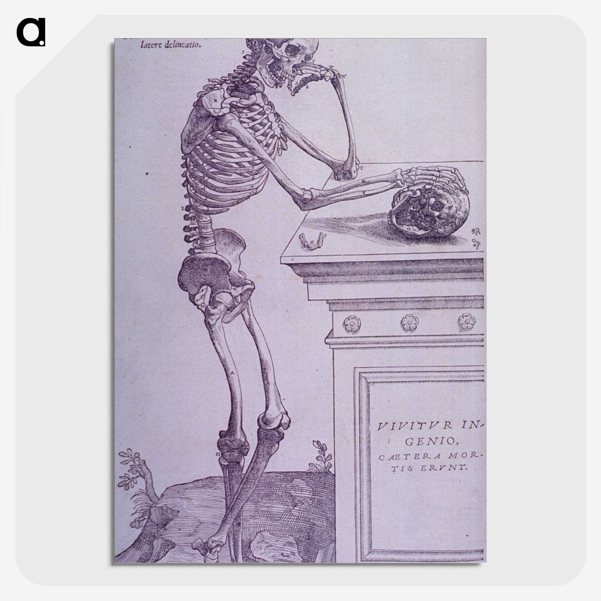 1-45_National-Library-of-Medicine_picture-crop