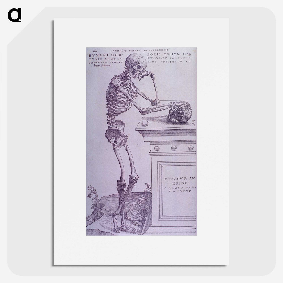 1-45_National-Library-of-Medicine_picture