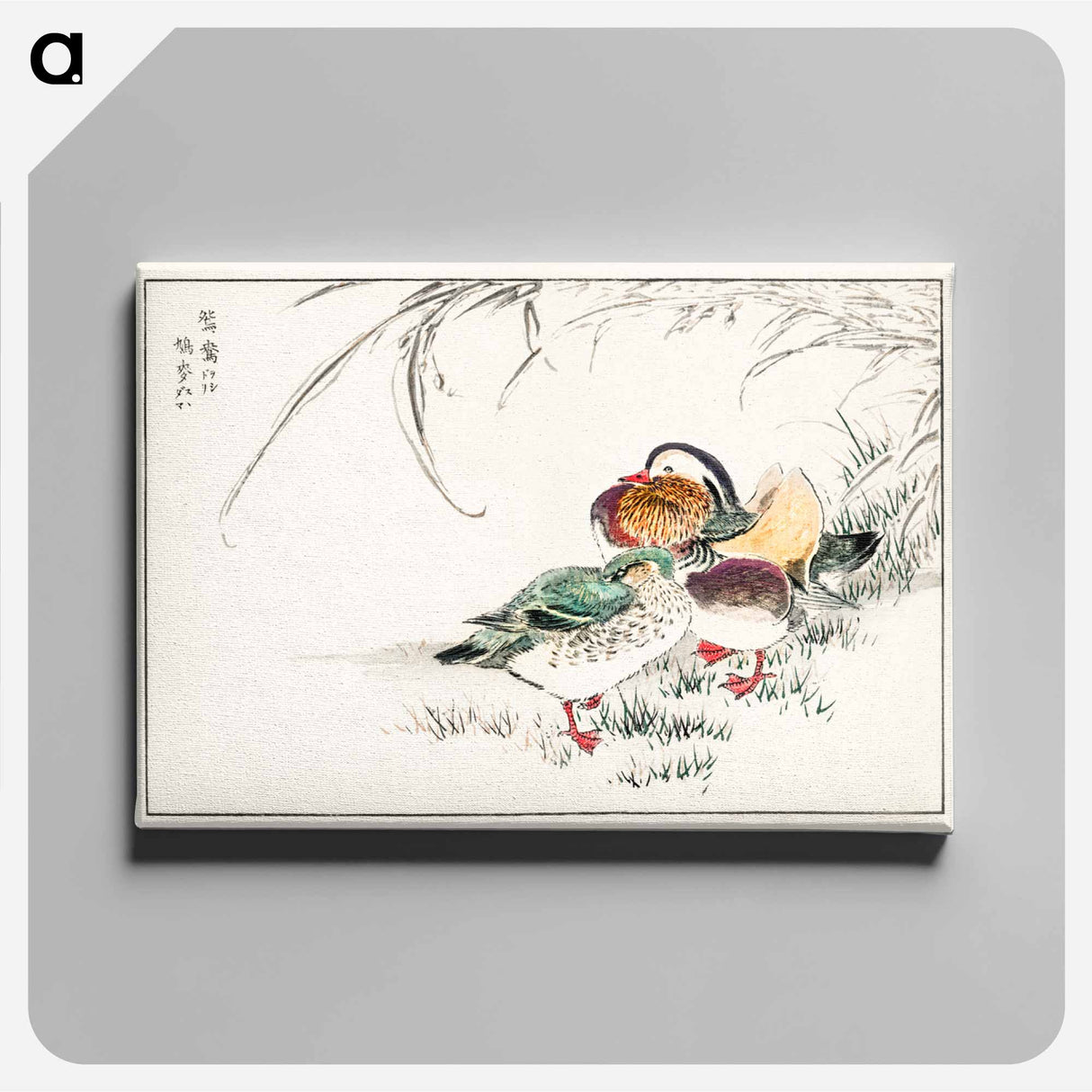 アートパネル-Mandarin Duck and Pearl Barley
- 鳥類図鑑 Canvas.