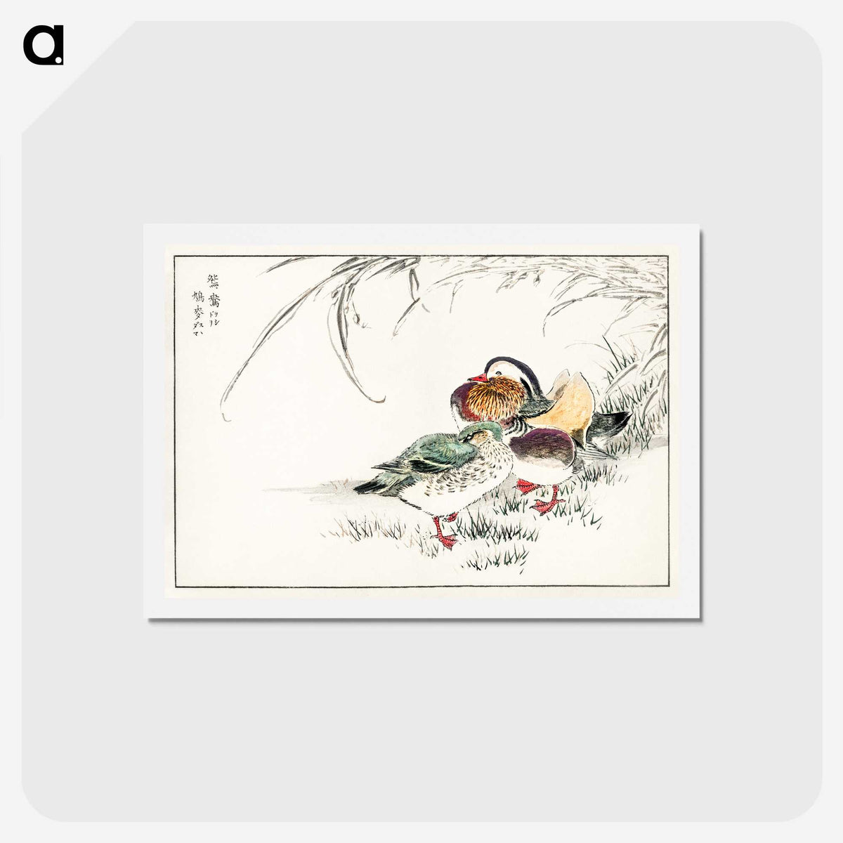 1-45_Pictorial-Monograph-of-Birds_hagaki