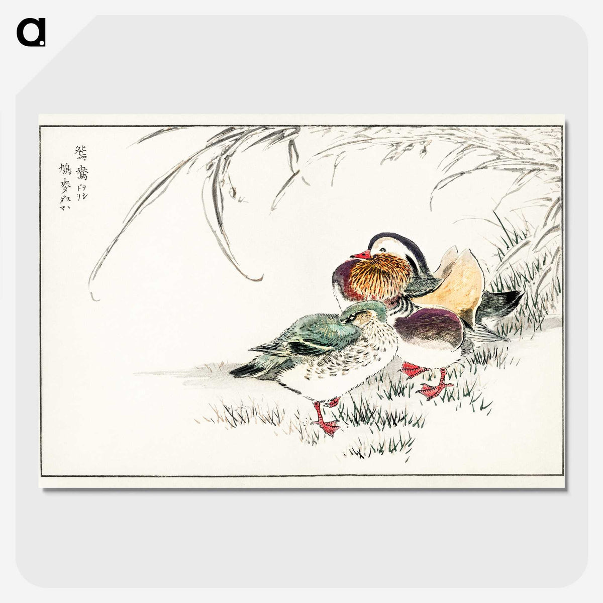 1-45_Pictorial-Monograph-of-Birds_picture-crop