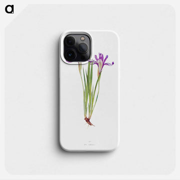 Iris Ruthenica from The Genus Iris
 - アヤメ属 Phone Case.
