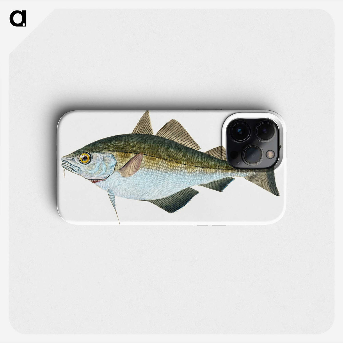 1-45_The-Natural-History-of-British-Fishes_phone