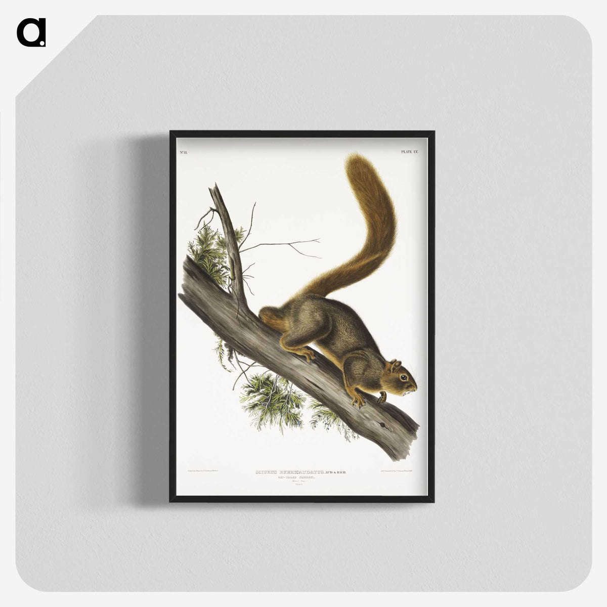 1-45_The-Viviparous-Quadrupeds_blk-crop